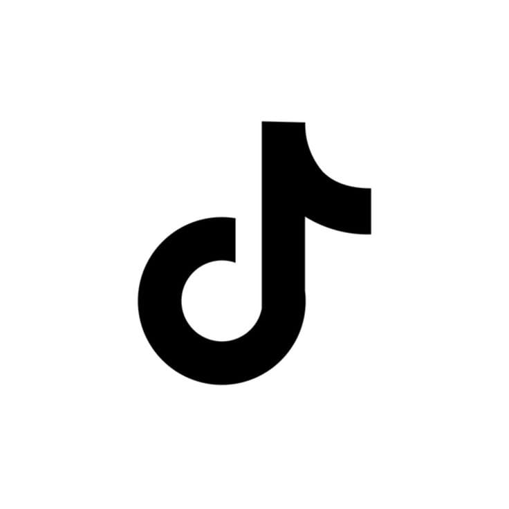 TikTok Logo